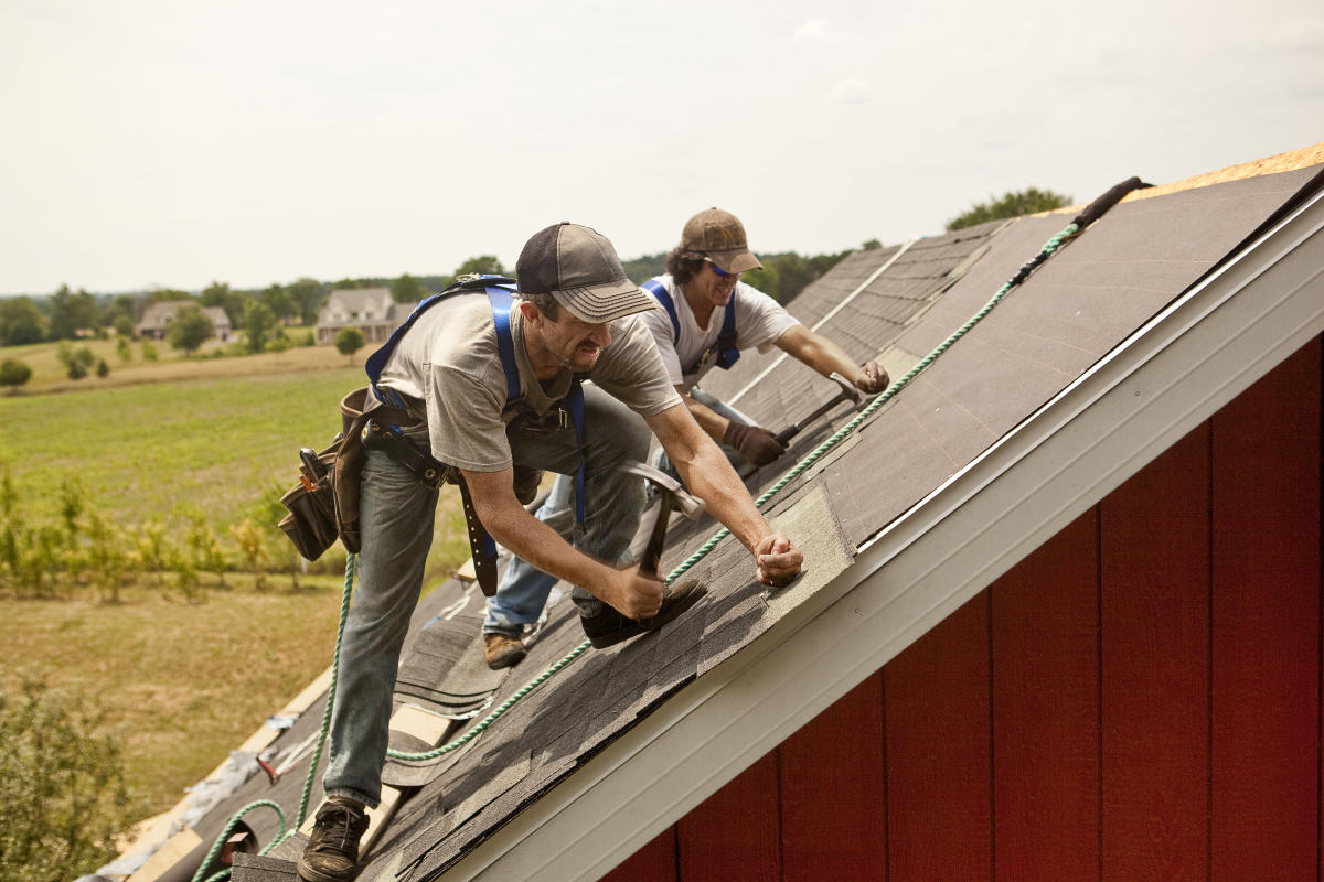 examples of sustainable roofs